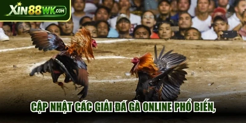 Cập nhật các giải đá gà online phổ biến, không bao giờ nhàm chấn