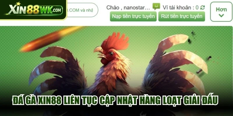 Đá gà XIN88 liên tục cập nhật hàng loạt giải đấu đỉnh cao khu vực