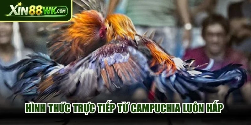 Hình thức trực tiếp từ Campuchia luôn hấp dẫn lượng lớn cược thủ